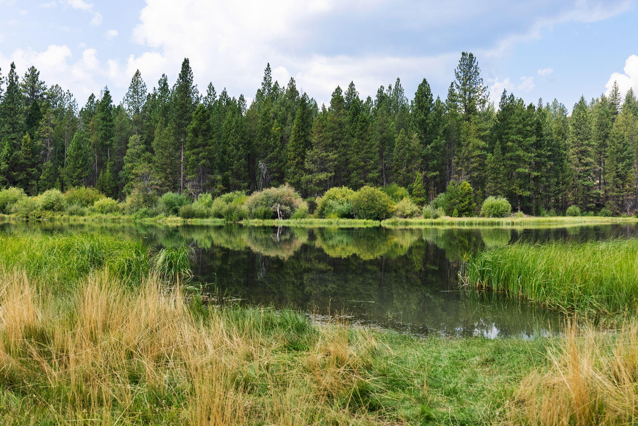 River Village - Residential