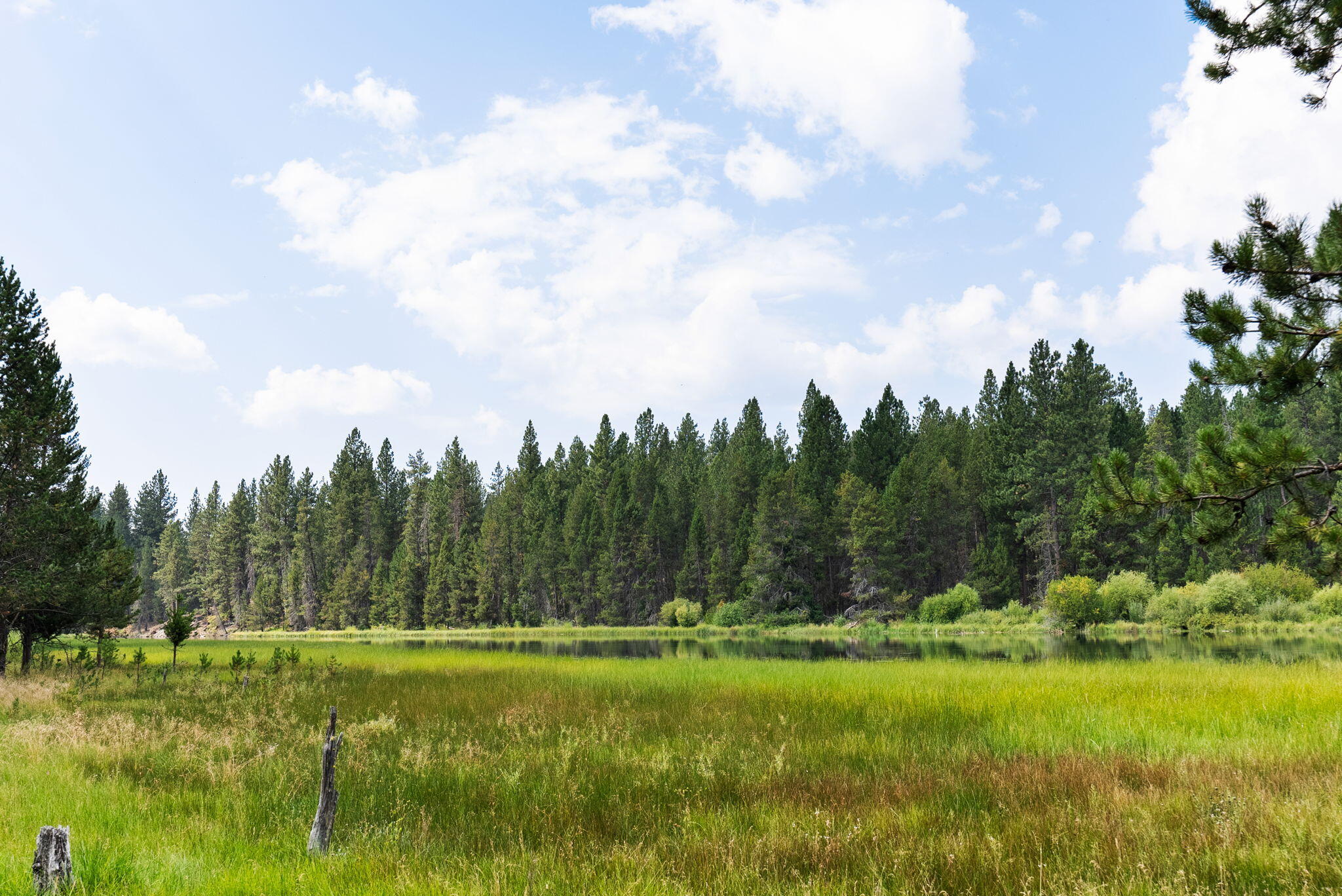 River Village - Residential