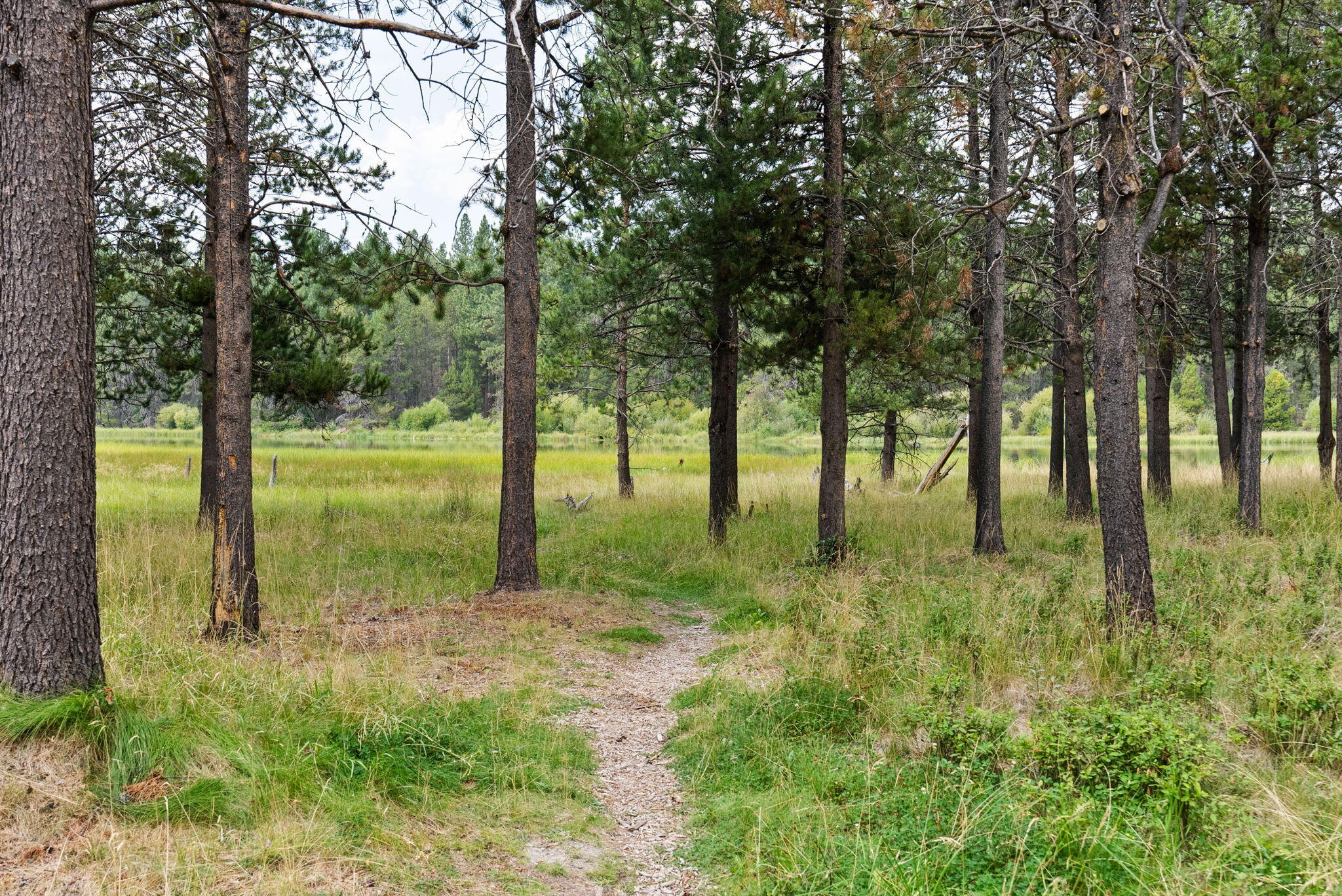 River Village - Residential