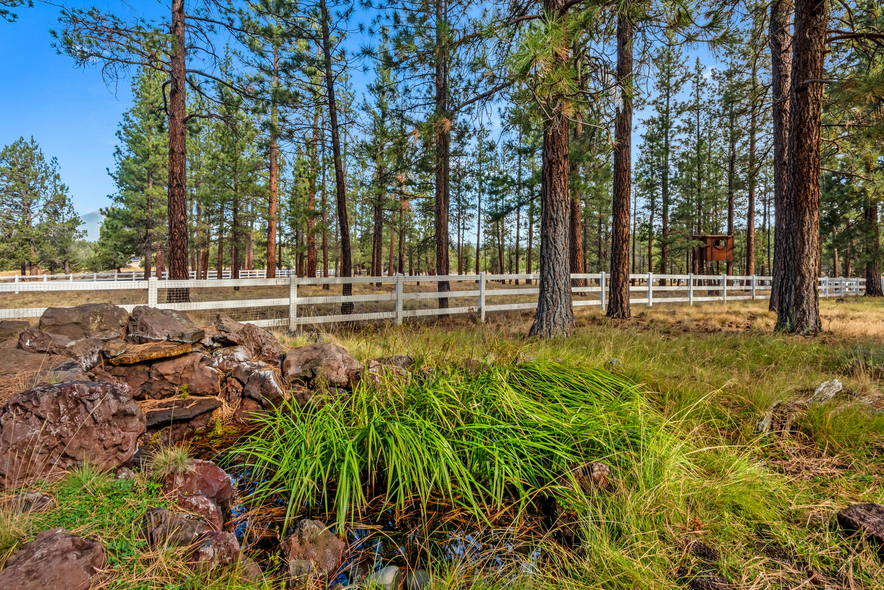 69550 Deer Ridge Rd, Sisters, OR, 97759, USA, 5 Bedrooms Bedrooms, ,5 BathroomsBathrooms,Residential,Active,69550 Deer Ridge Rd,220219250