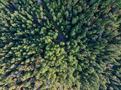 Tiny photo for 0 Dog Fork Road, Jacksonville, OR 97530 (MLS # 220213091)