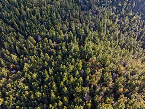 Tiny photo for 0 Dog Fork Road, Jacksonville, OR 97530 (MLS # 220213091)