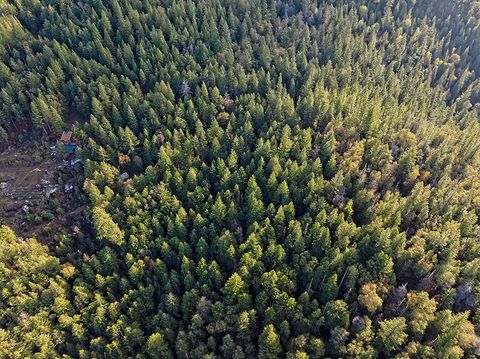 Tiny photo for 0 Dog Fork Road, Jacksonville, OR 97530 (MLS # 220213091)