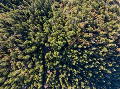 Tiny photo for 0 Dog Fork Road, Jacksonville, OR 97530 (MLS # 220213091)