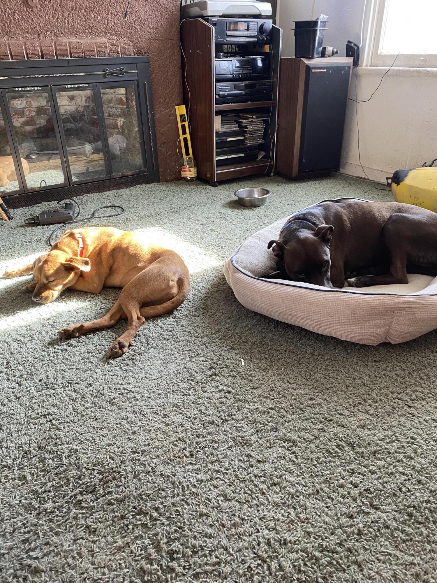 Altamont Acres - Residential