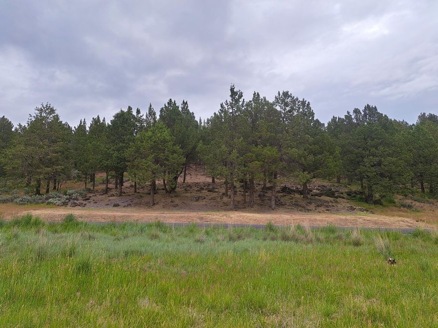 Priced to sell & ready to build! Running Y Ranch Resort lot in a serene location, with panoramic views of open fields and mountain vista views beyond. The Running Y Ranch Resort HOA's include access to the sports and fitness center, miles of amazing walking trails, ball courts, pool, hot tub, sauna, spa. The famed Arnold Palmer golf course is also a part of the Ranch's lure and open to the public so be sure and bring your clubs and cart! Just minutes from downtown Klamath Falls and 30 +/- minutes from Lake of the Woods, Rocky Point Resort, Crater Lake Zipline and more. This property is ready to build with sewer/ water/ natural gas/ cable/ internet connections located at the street and the topography report, plot map and disclosures are available in documents for buyers review.