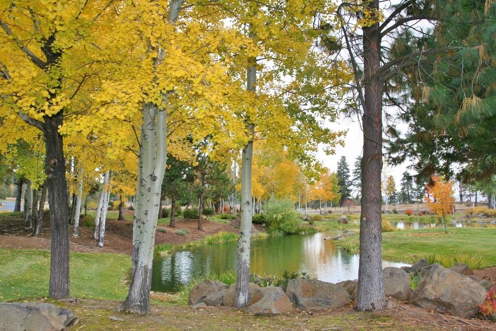 Running YResort - Land