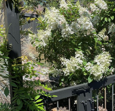 Tiny photo for 2398 NW Lemhi Pass Drive, Bend, OR 97703 (MLS # 220214849)