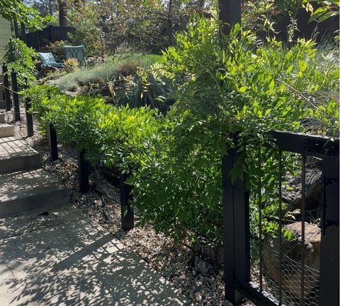 Tiny photo for 2398 NW Lemhi Pass Drive, Bend, OR 97703 (MLS # 220214849)