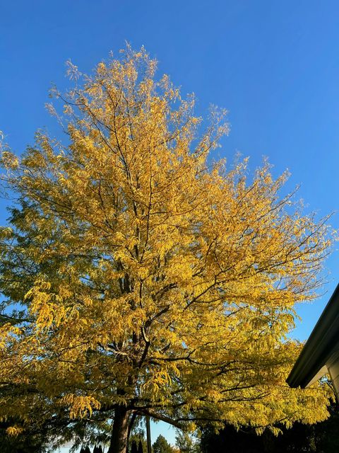 Tiny photo for 3041 SW Salmon Avenue, Redmond, OR 97756 (MLS # 220215509)