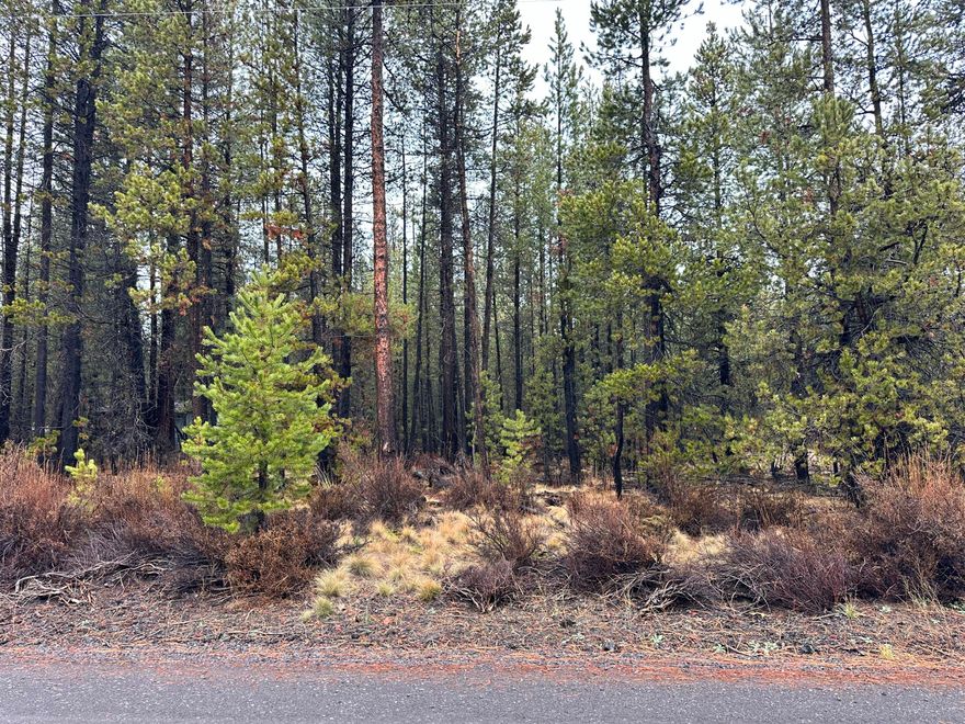 Discover your perfect outdoor retreat with this prime recreational lot! Located near the Deschutes National Forest, Deschutes River, Mt Bachelor, and the Cascade Lakes, this offers endless opportunities for year-round recreation. Just minutes from the iconic Sunriver Resort, you'll have easy access to restaurants, shopping, entertainment and seasonal events. It's the perfect launching point to start your next adventure!