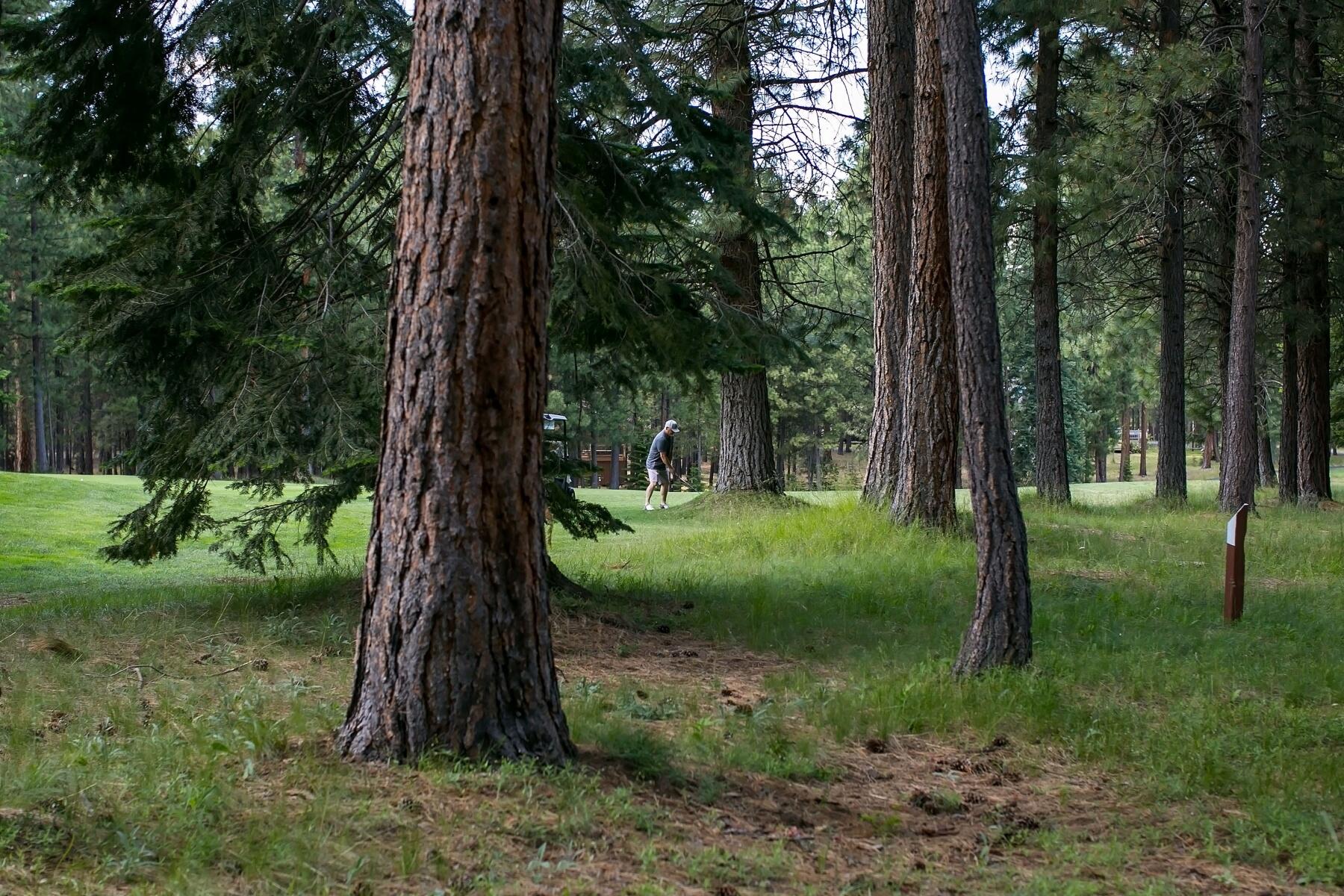 Glaze Meadow Homesite Section - Residential