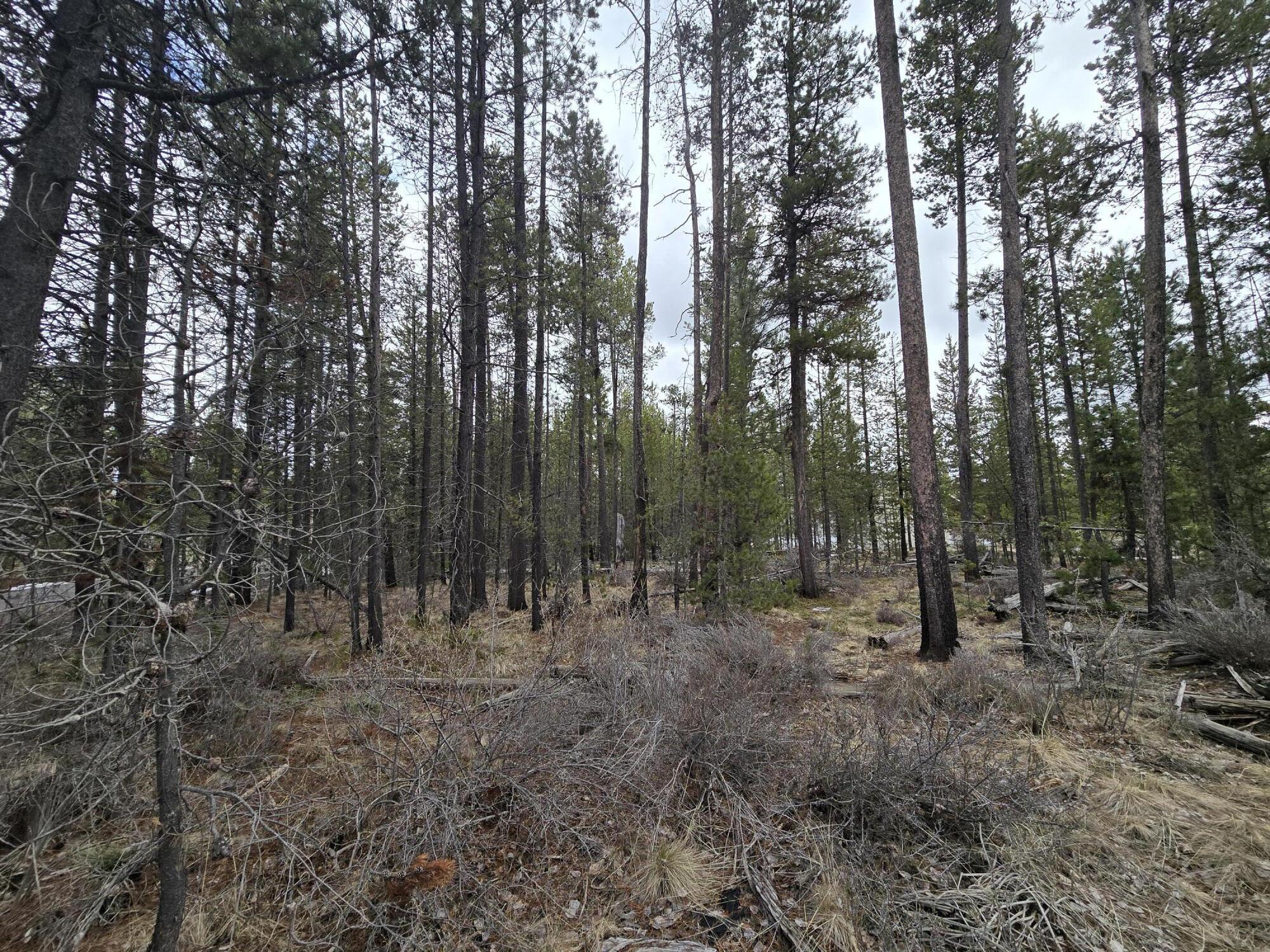 17103 Laguna Road