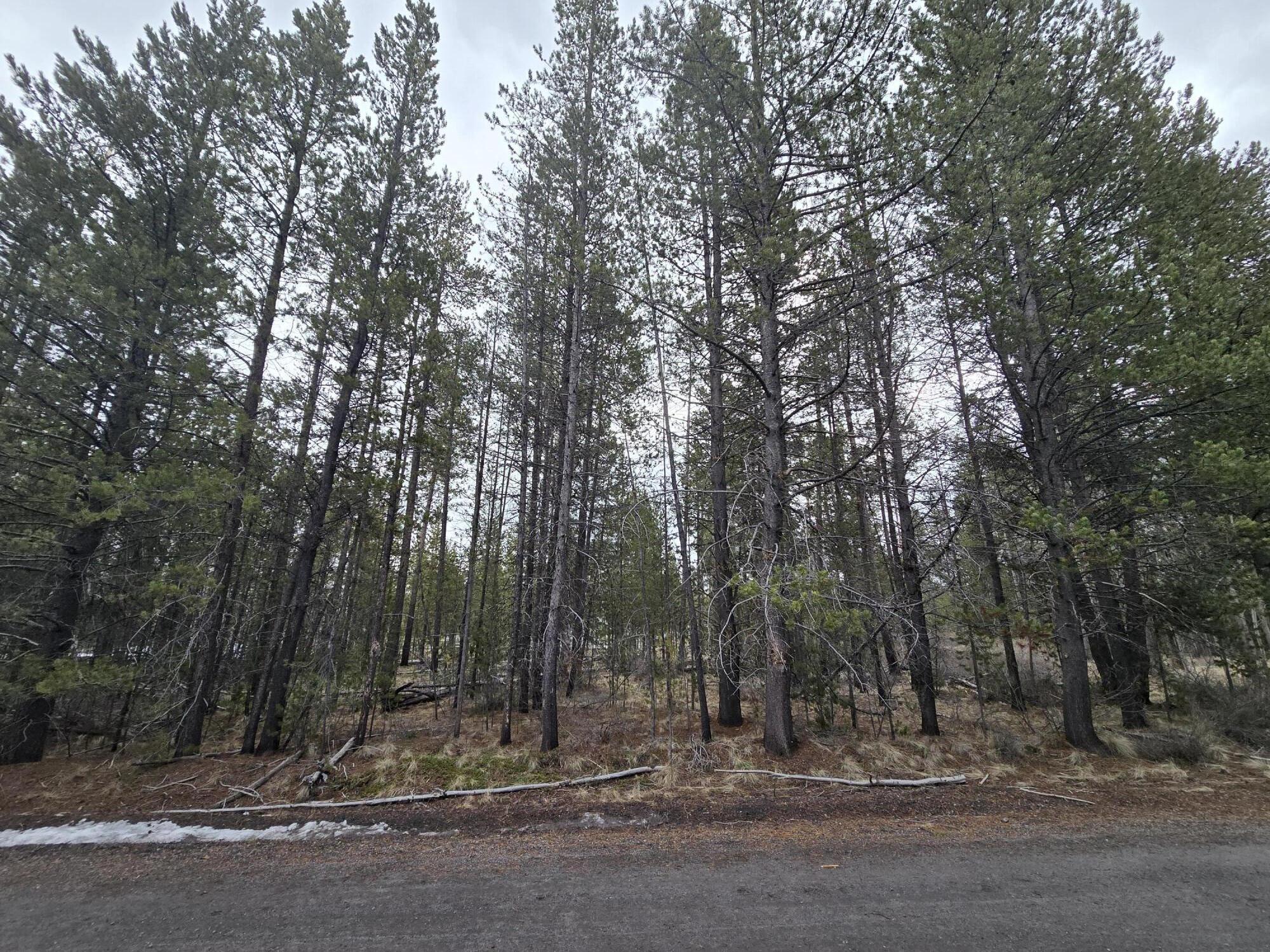 17103 Laguna Road