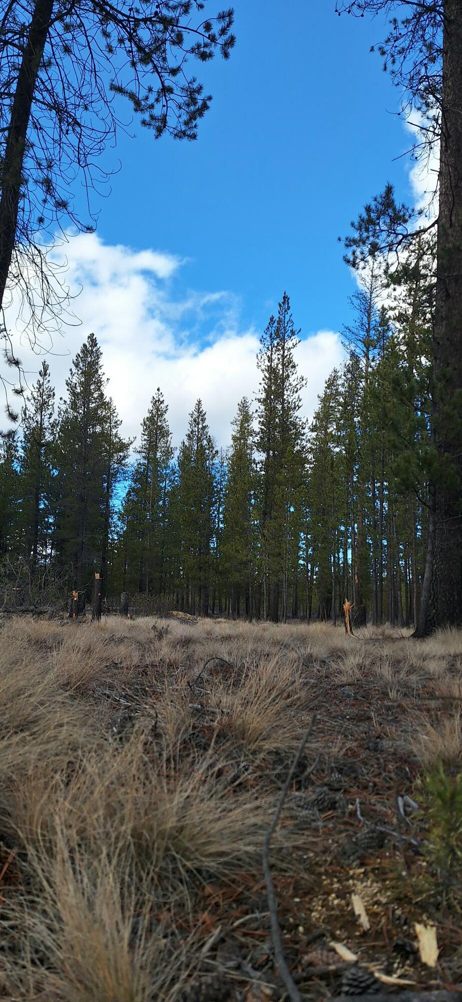 Sun Forest Drive 1200