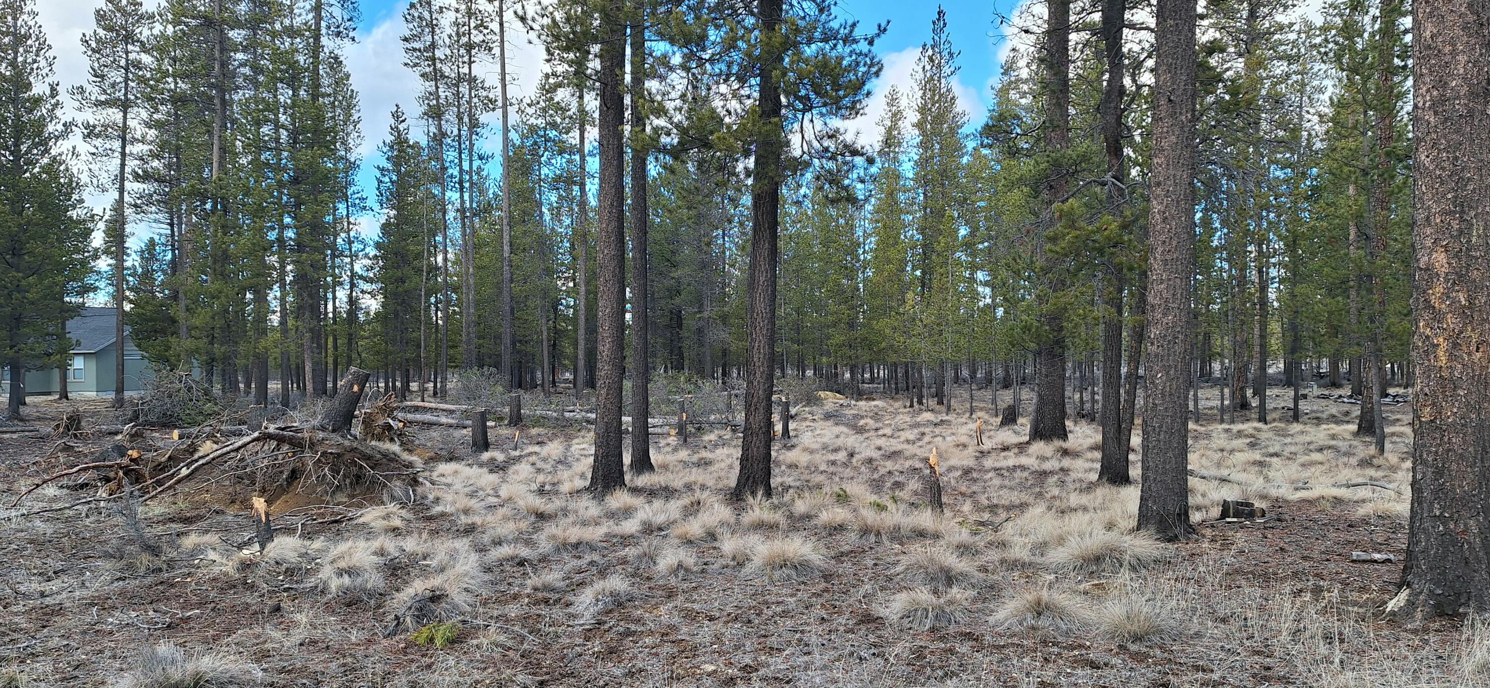 Sun Forest Drive 1200