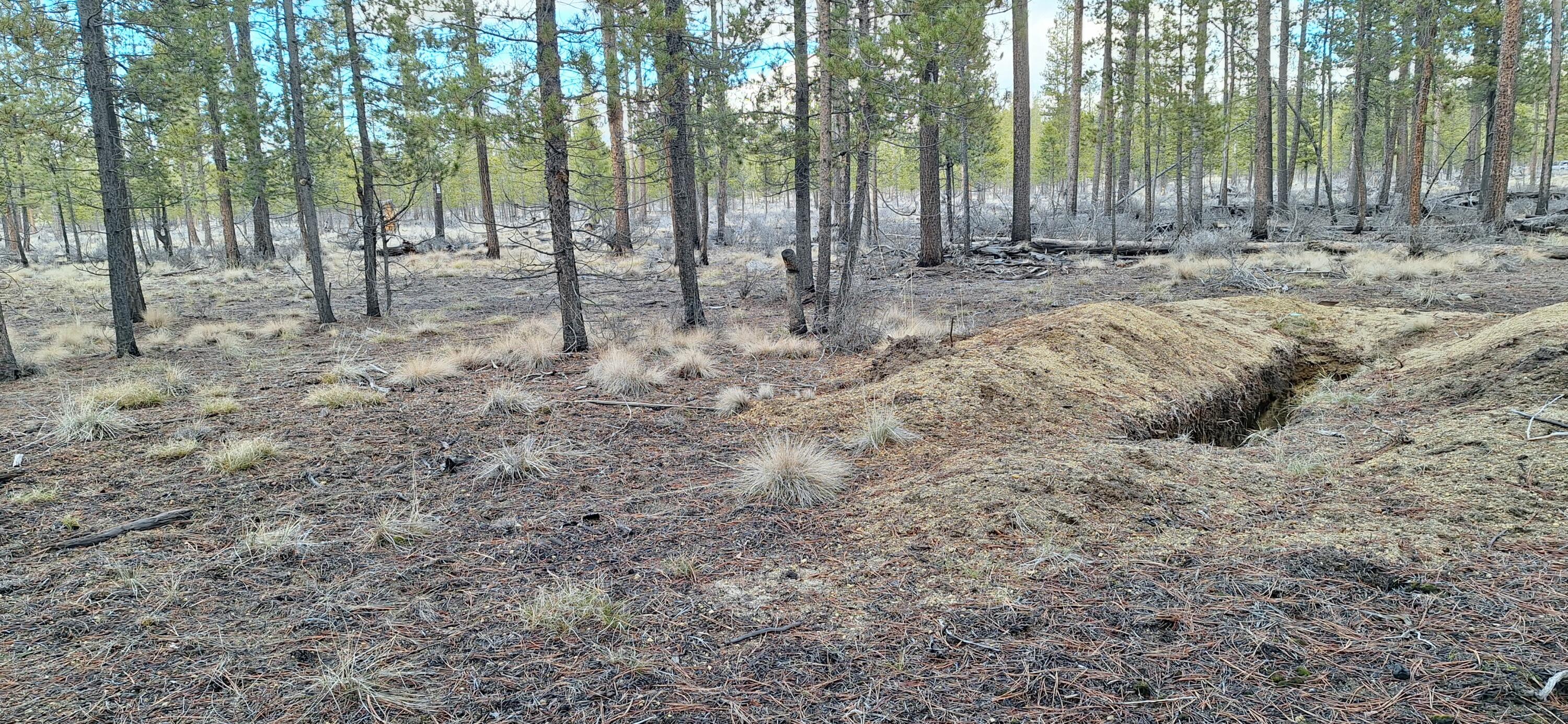 Sun Forest Drive 1200