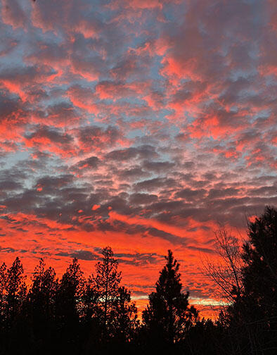 Inn Of The 7th - Residential