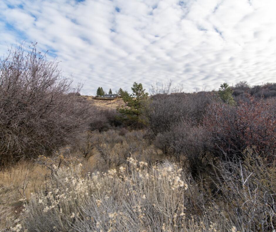 Oregon Shores -Unit 2-First Addition - Land