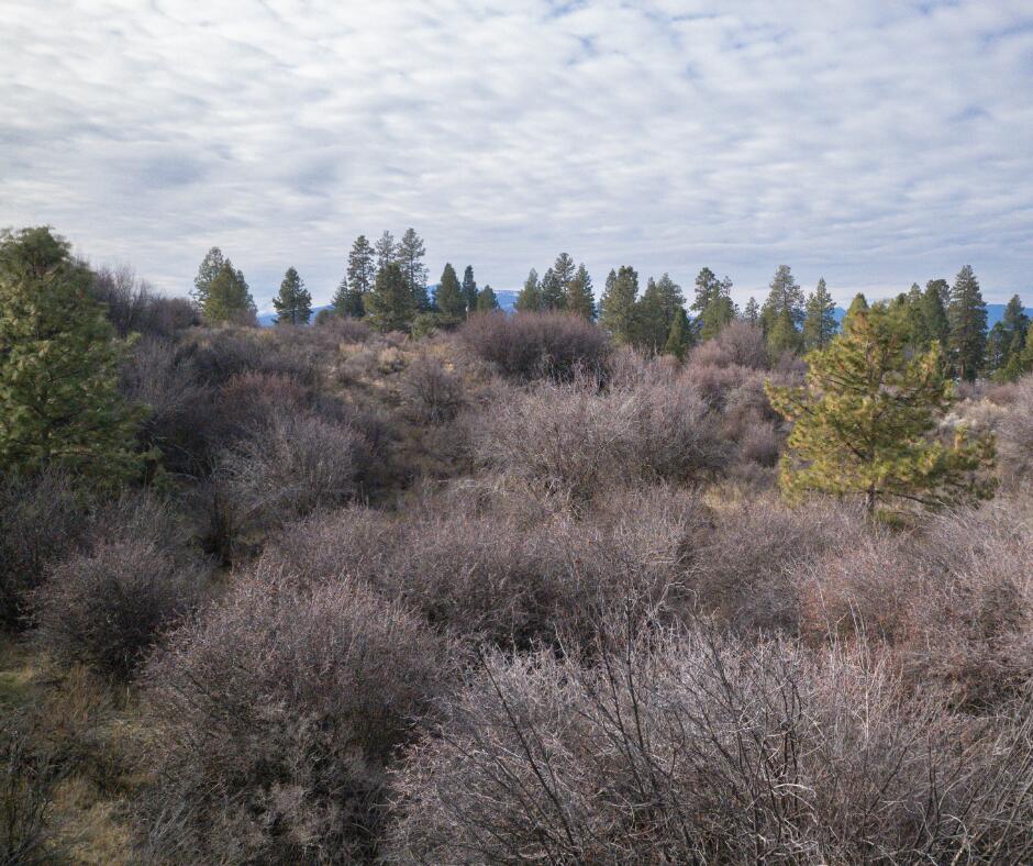 Oregon Shores -Unit 2-First Addition - Land