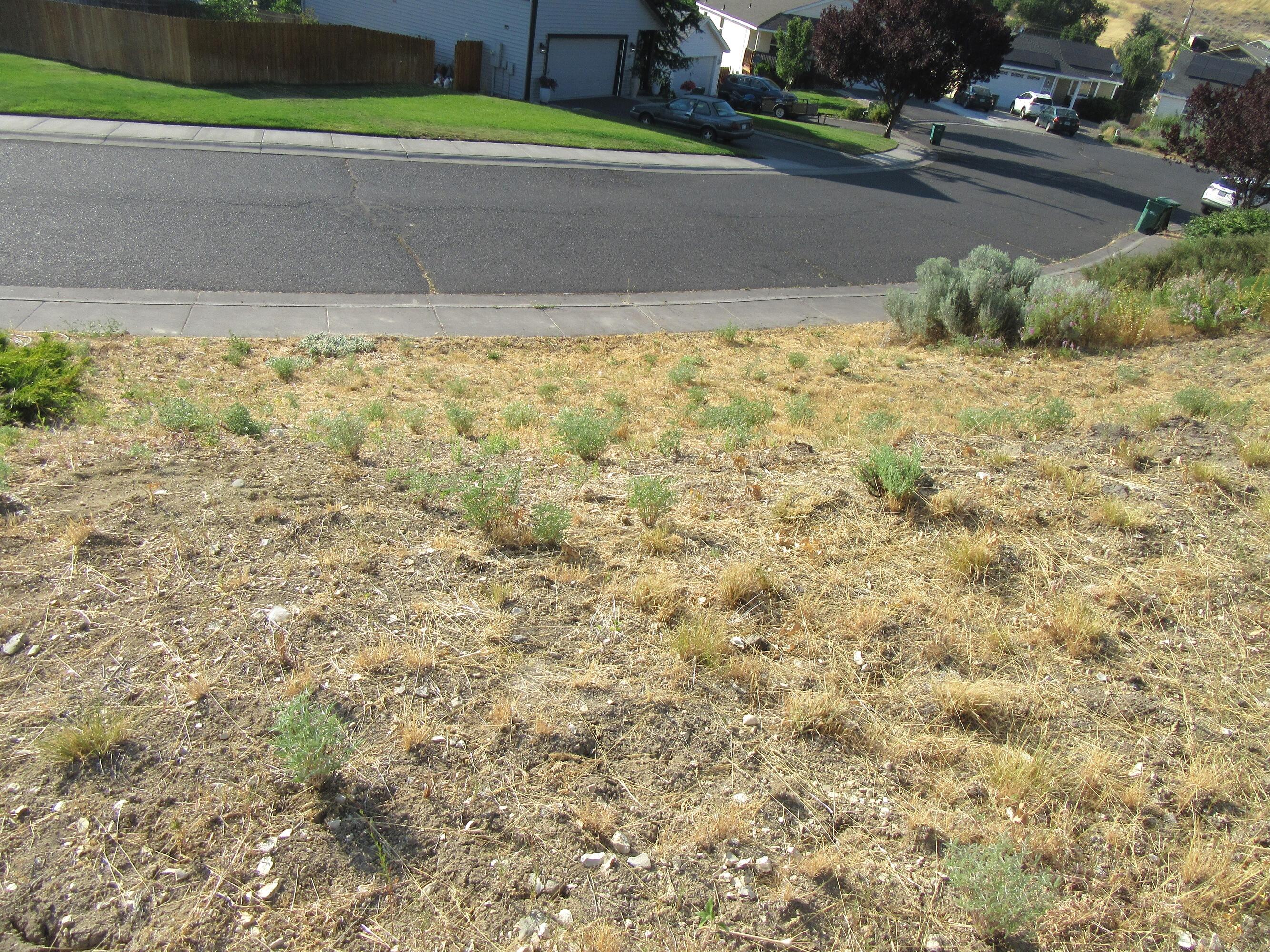 Old Fort Estates - Land