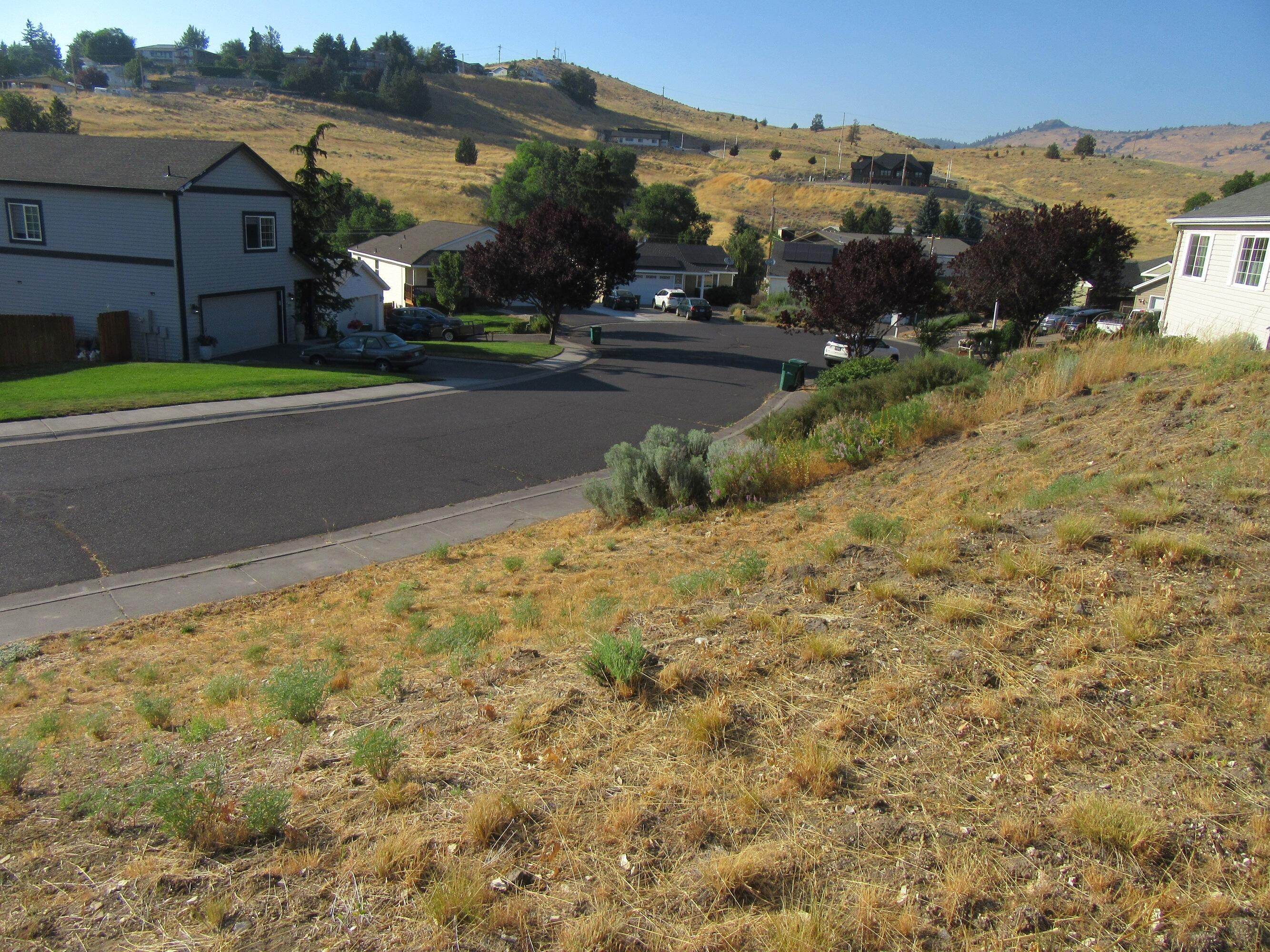 Old Fort Estates - Land