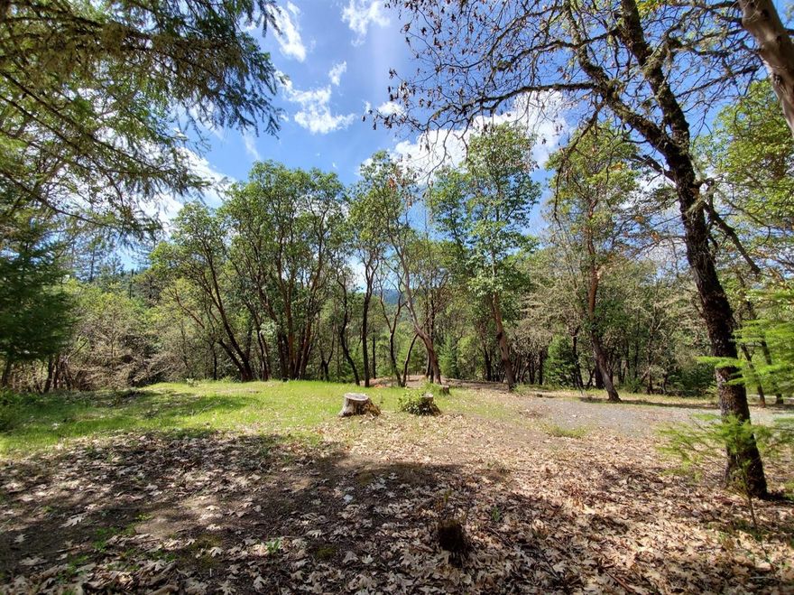 This 2.5-acre property sits a short distance off East Evans up Shady Pines Dr, backing to BLM. Perfect setting for your custom home. Well was drilled in 2008 coming in at 20 gpm and septic is approved for a sand filter system. Power is available to the property line with conduit in. New adjusted building envelope has just been approved, documentation on hand. The property has a variety of trees including madrone, pine, cedar, oak and manzanita. Please call for viewings, no drive-bys.