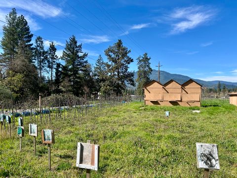Tiny photo for 13990 N Applegate Road, Applegate, OR 97530 (MLS # 220224593)