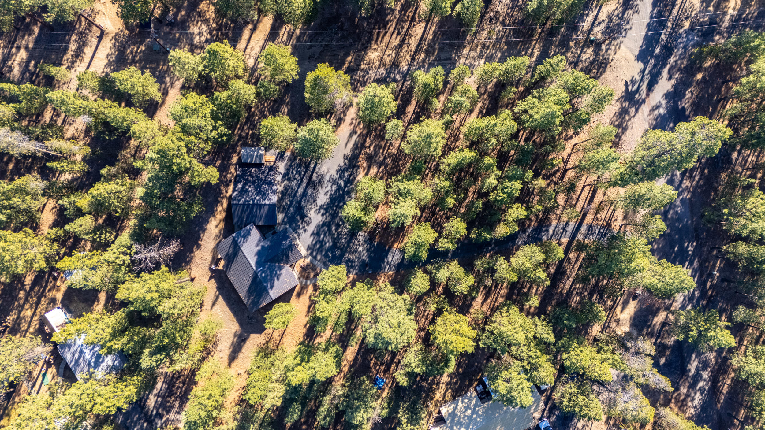 Ponderosa Pines - Residential