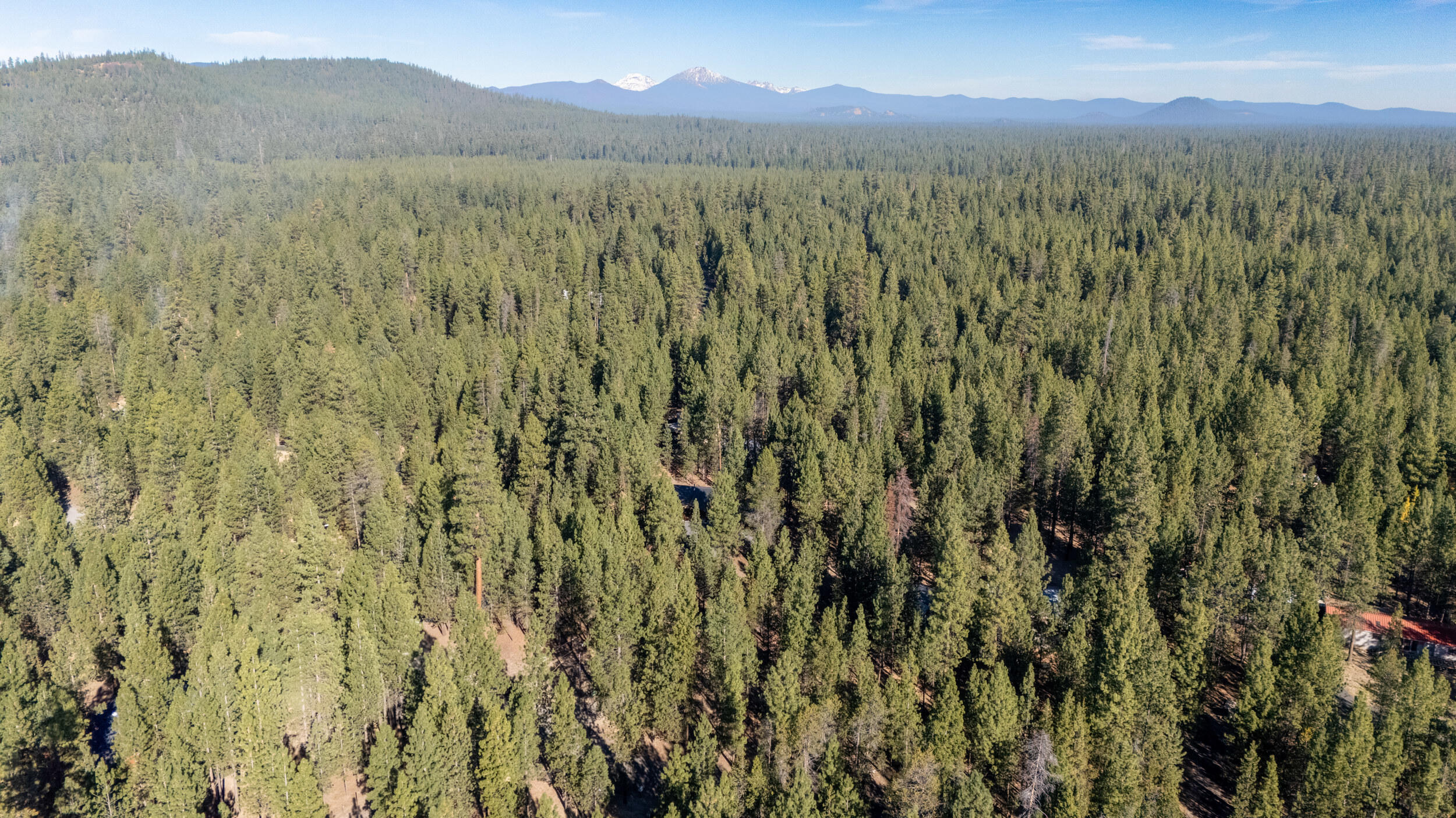 Ponderosa Pines - Residential