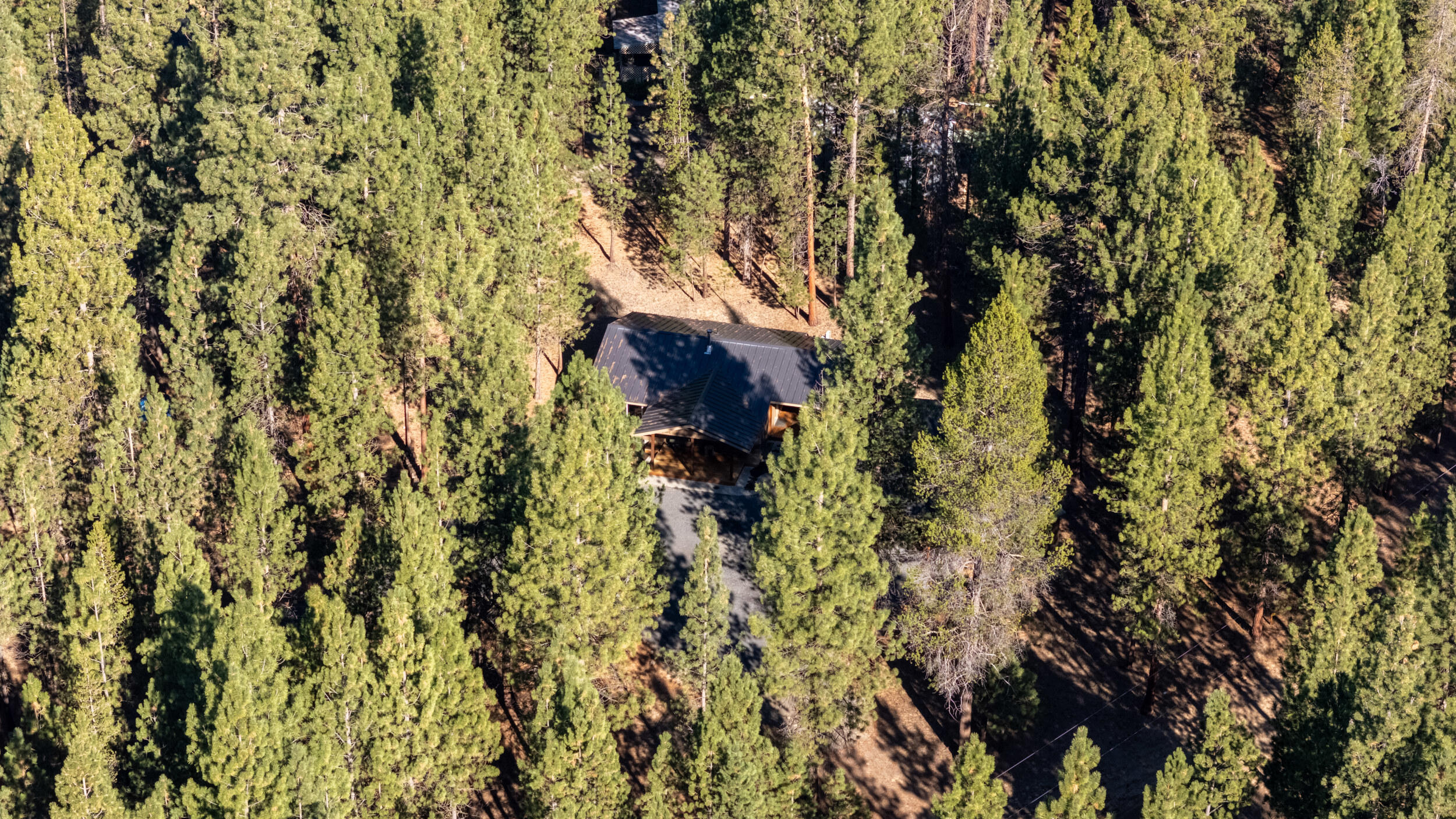 Ponderosa Pines - Residential