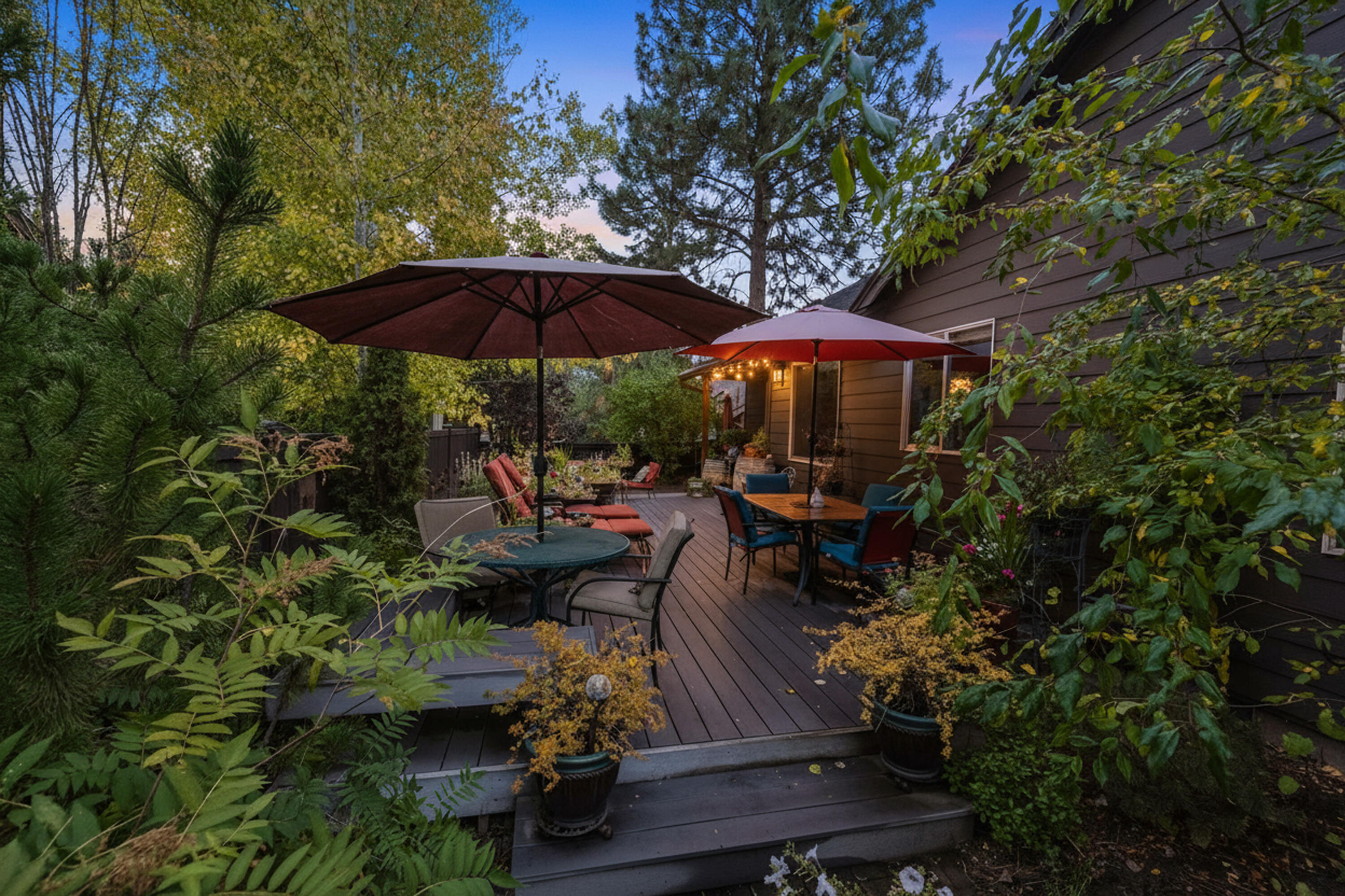 Mountain Pine - Residential