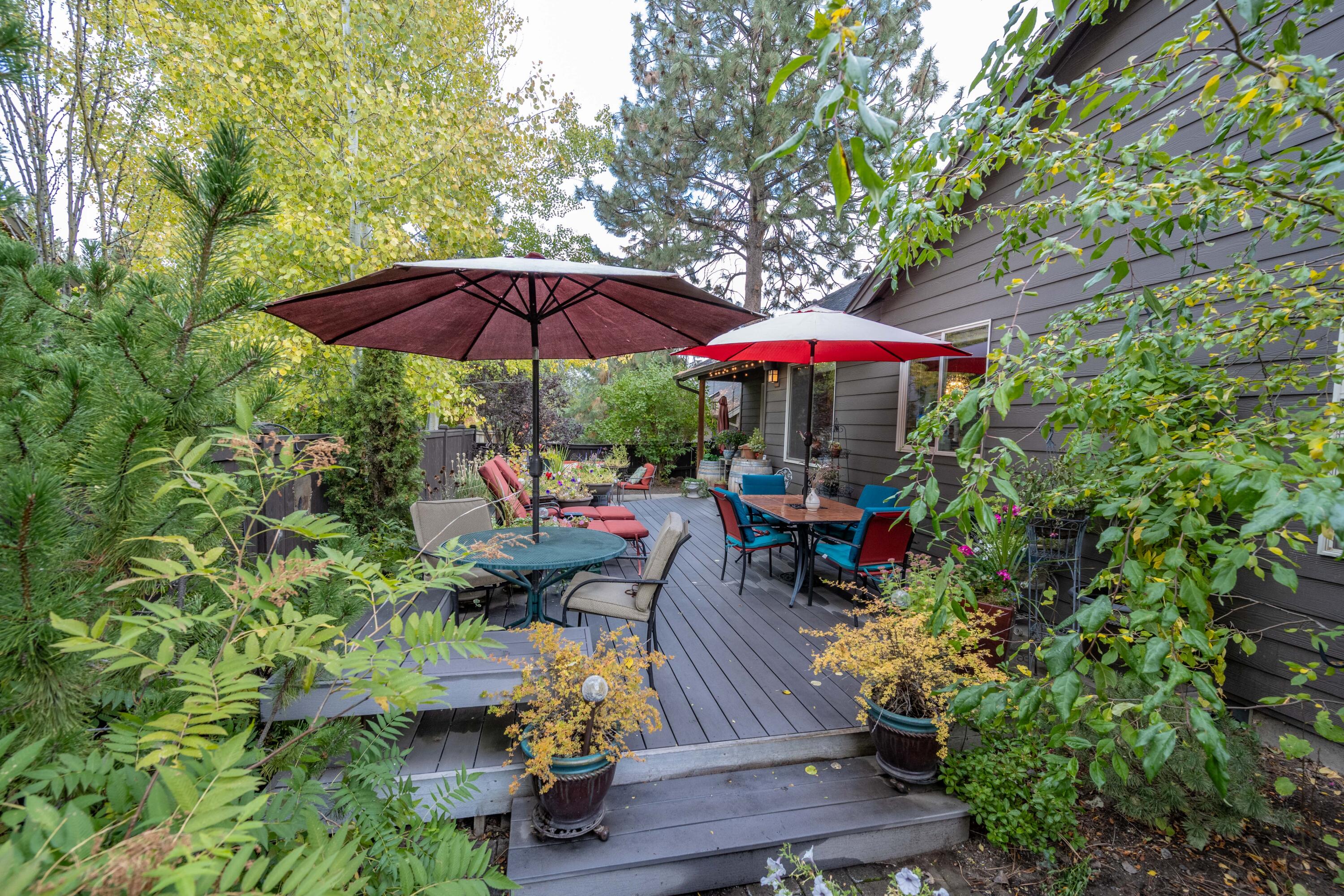 Mountain Pine - Residential