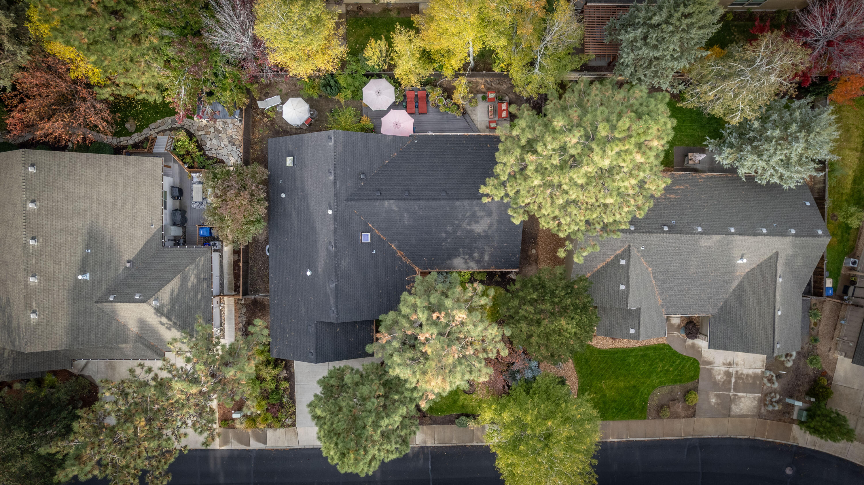 Mountain Pine - Residential