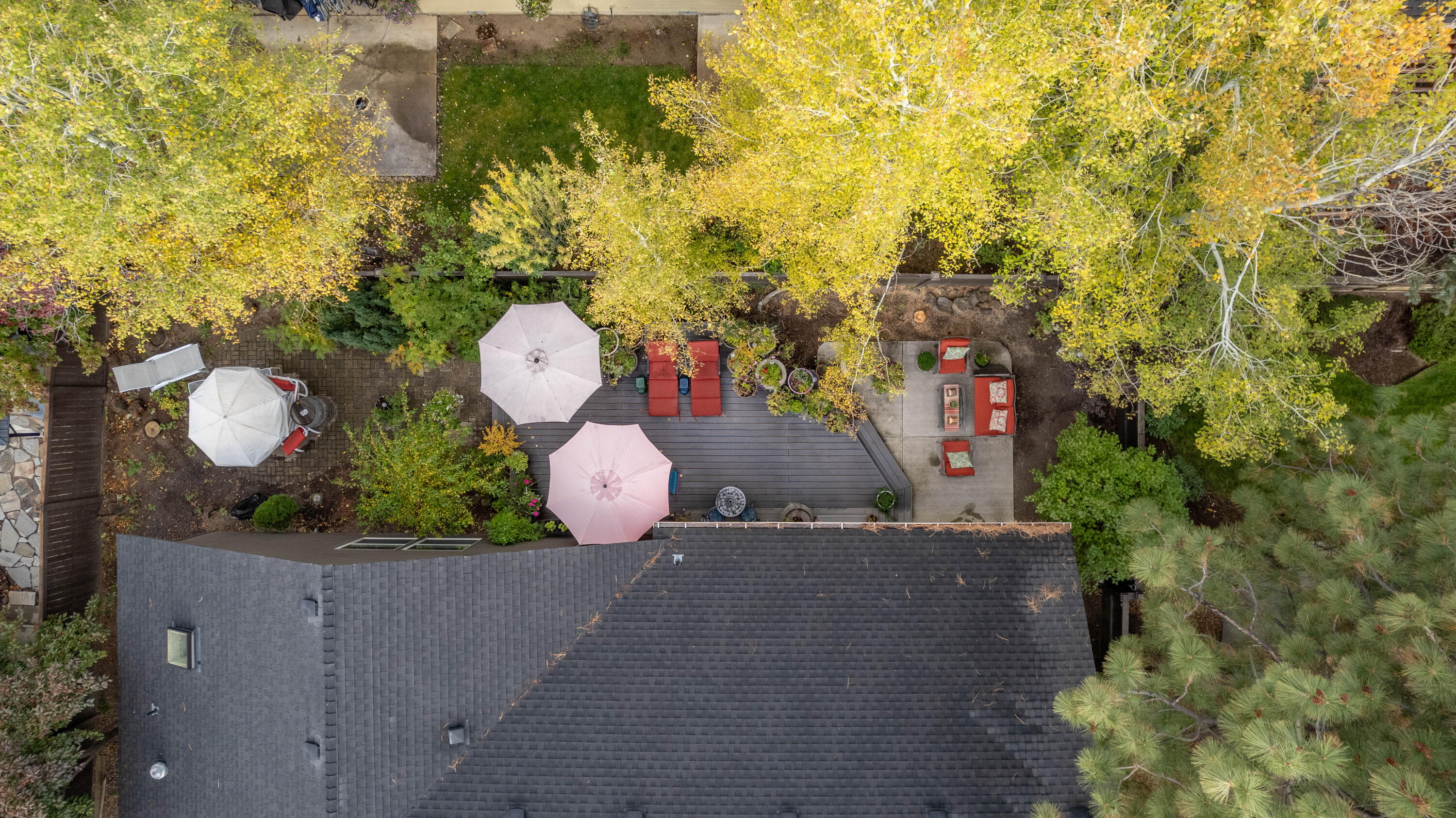 Mountain Pine - Residential