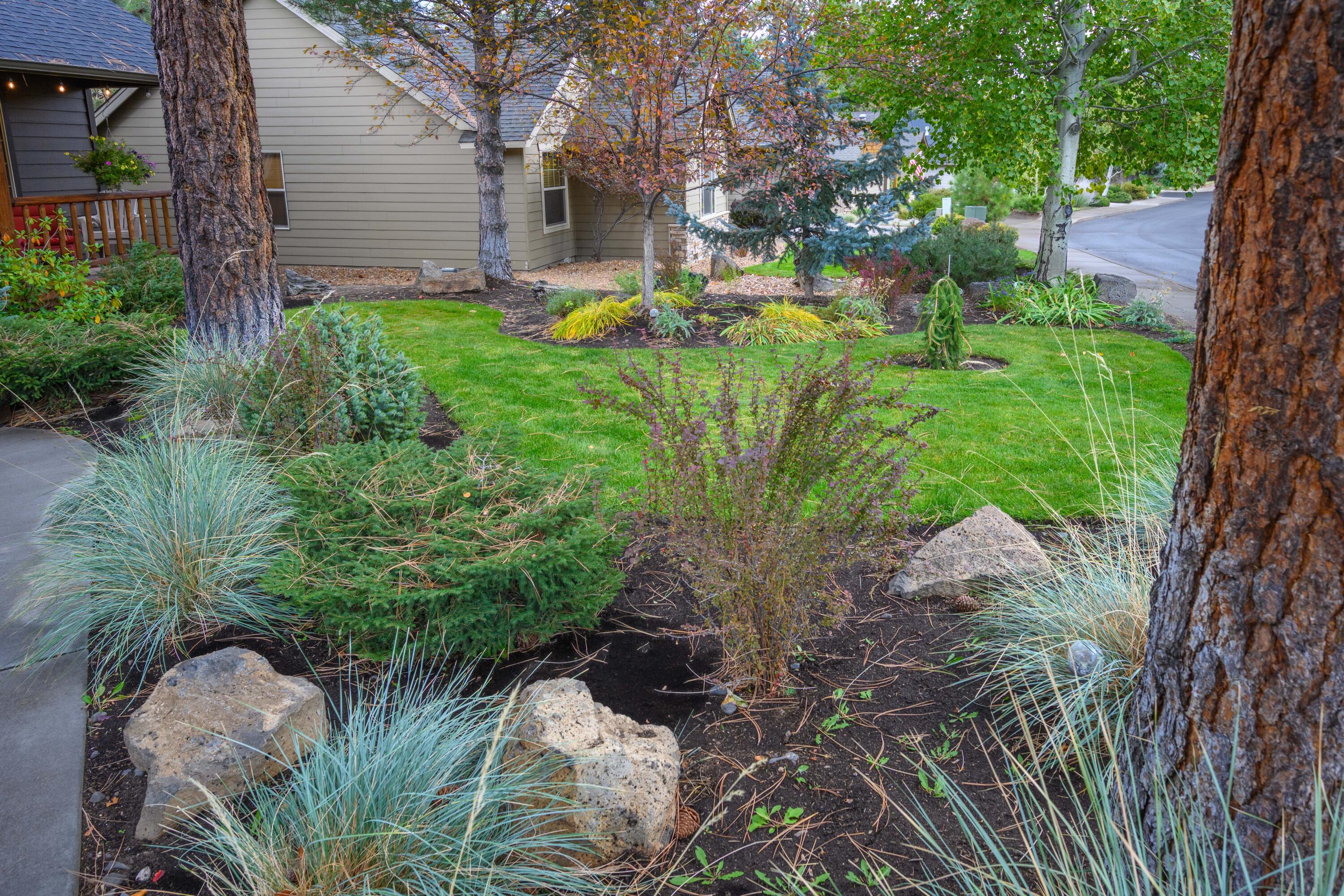 Mountain Pine - Residential