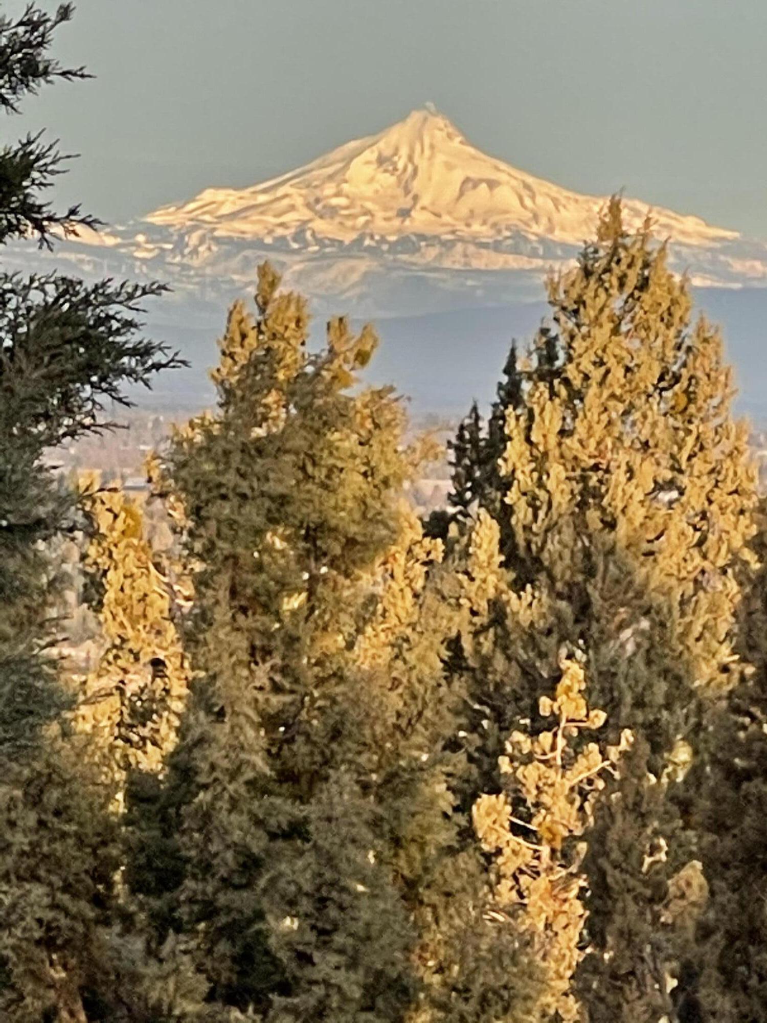 Awbrey Village - Residential