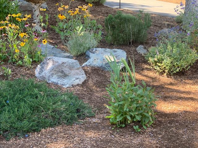 Awbrey Village - Residential