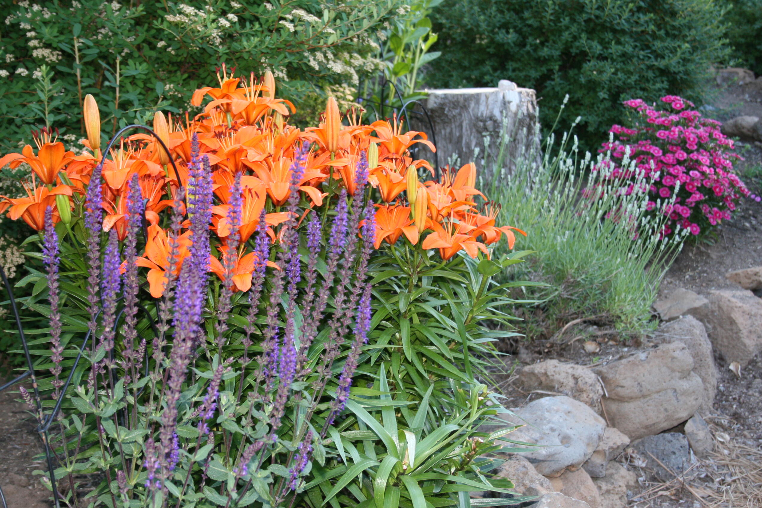 Awbrey Village - Residential