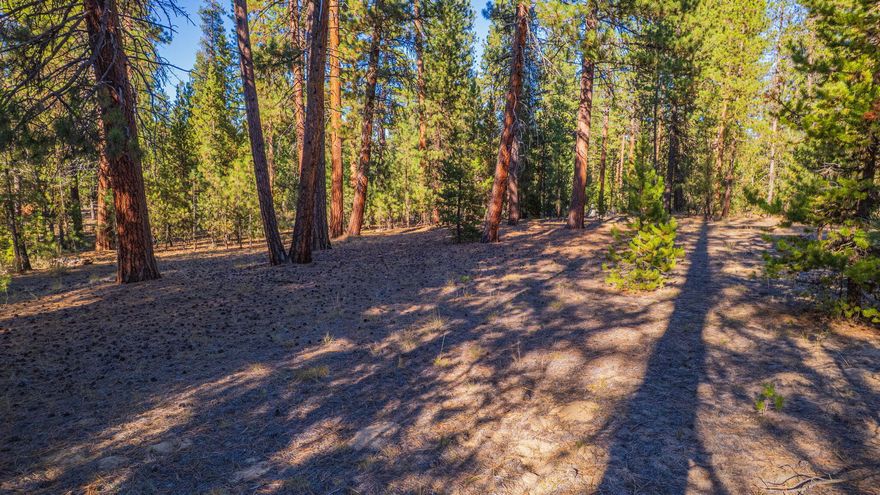 Groves of stunning  old-growth ponderosa surround this buildable, partially-cleared, level .52 acre lot in Central Oregon's beautiful riverfront community of Wild River at Pringle Falls. This rare north perimeter parcel backs up to National Forest and community common areas. Exclusive access to the Deschutes River to the north and a few hundred yards away are these pristine waters including Pringle Falls One of the few remaining undeveloped lots in this high-end community which provides exclusive member river access and hiking through these forested common areas and including a dog park.The unique community of Wild River is comprised of quality homes, paved roads, underground utilities, and protective CC&R's. Perfect as a full-time or 2nd home. Call today to explore this beautiful community and this generous parcel with your architect and builder . Visit wildriveroa.org for HOA governing documents.