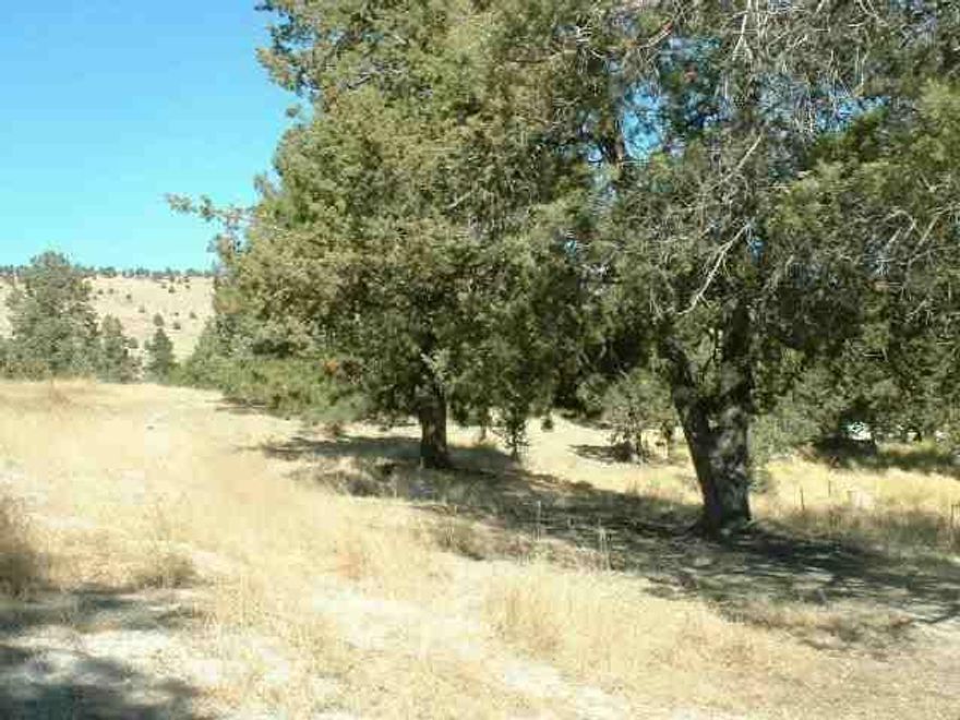 Glorious Homesite In Henley Area With A Easterly View & Mature Trees Adjacent To Area Of Beautiful Custom Homes. Subject To Final Plat, Deq. Approval & Shared Well Agreement. Rare Buliding Opportunity. Do Not Let Horses Out.