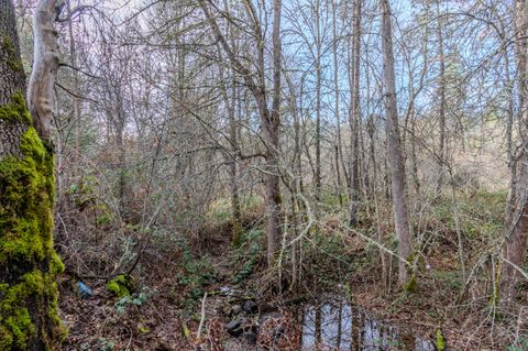 Tiny photo for 5400 Hwy 238, Jacksonville, OR 97530 (MLS # 220213365)