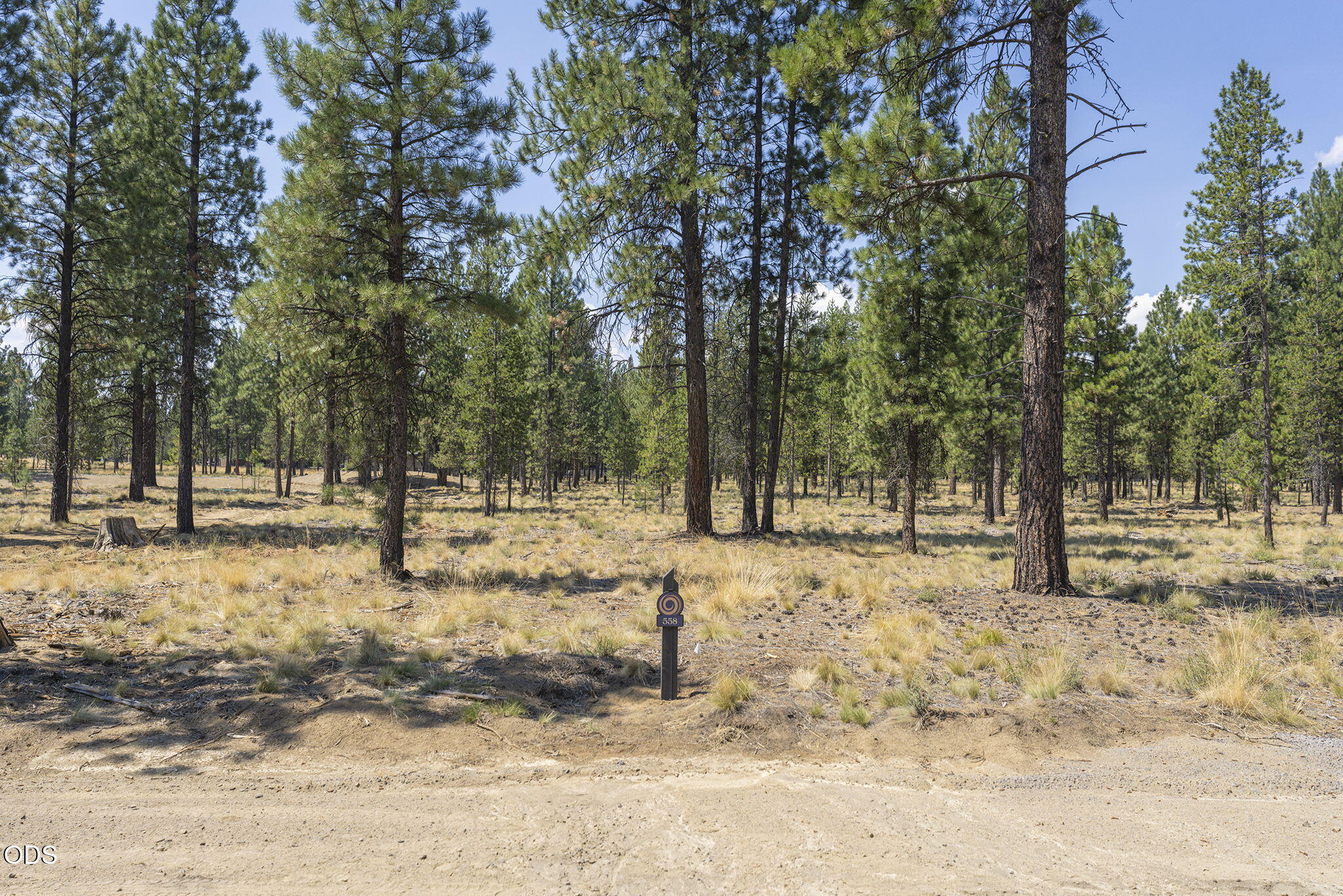 56694 Red Bark Lane 558