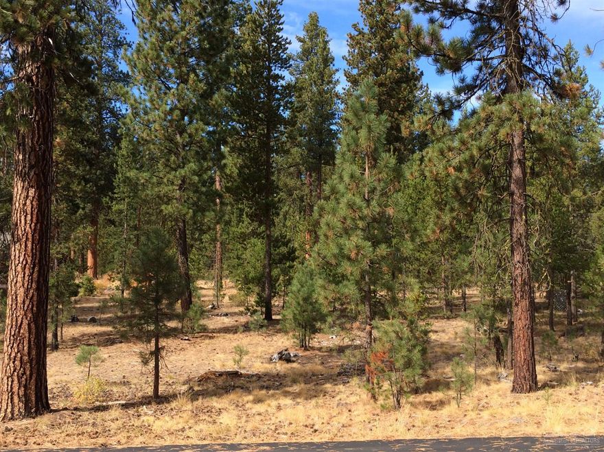 Exceptional bare land offering in this premier Wild River location with gorgeous National Forest and the Big Deschutes River just beyond the back door of your future home! Enjoy privacy and pristine natural beauty on this .45 acre, mostly level parcel. This popular CCR-protected riverfront community is bisected by the majestic river & Pringle Falls, features paved roads, underground utilities and lovely homes. Quiet hideaway location provides excellent proximity to Sunriver, Bend and high desert recreation!