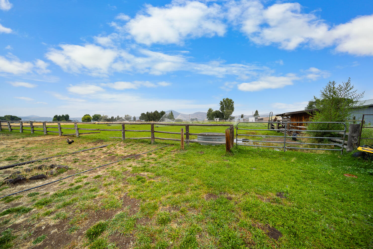 Puckett Est - Residential