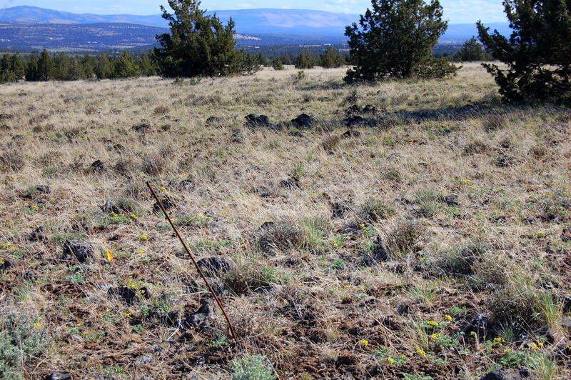 Ochoco Land + Livest - Land