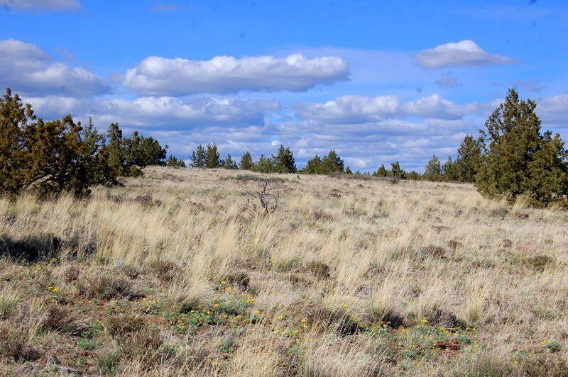 Ochoco Land + Livest - Land