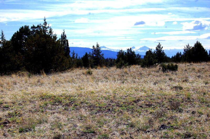 Ochoco Land + Livest - Land