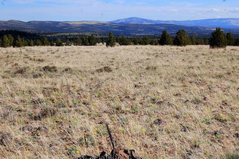 Ochoco Land + Livest - Land