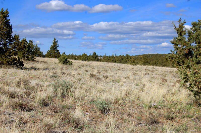 Ochoco Land + Livest - Land